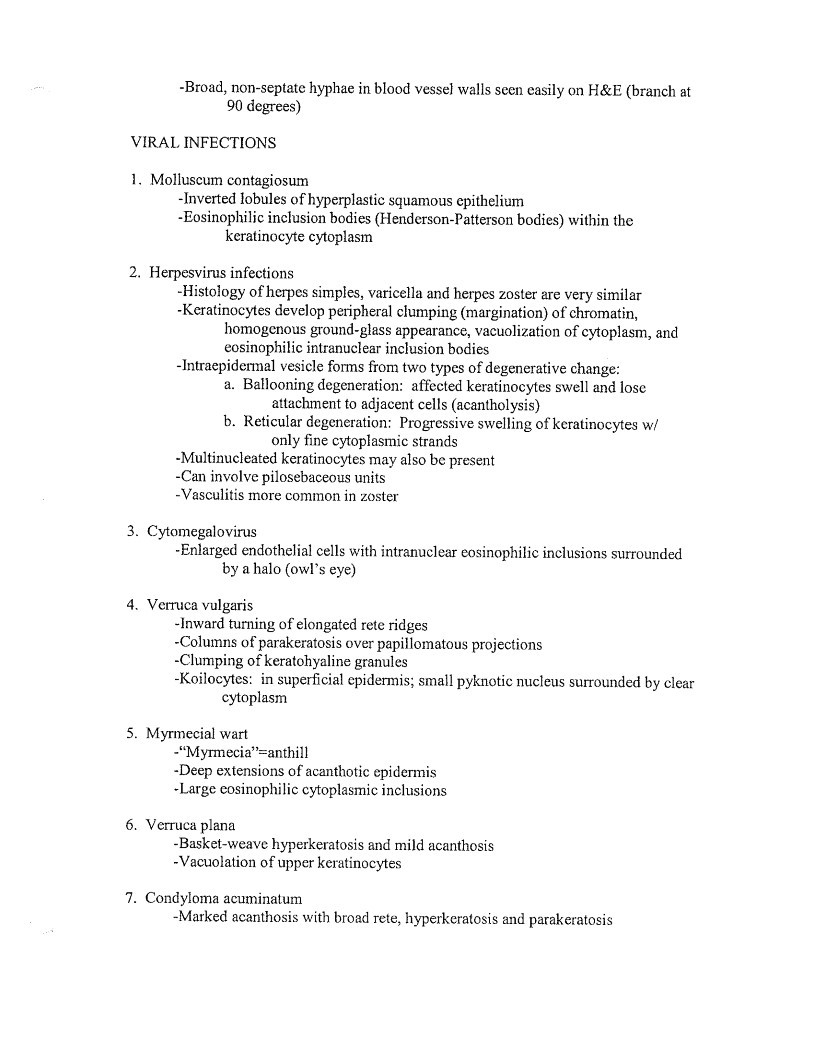Document page 48 of 72